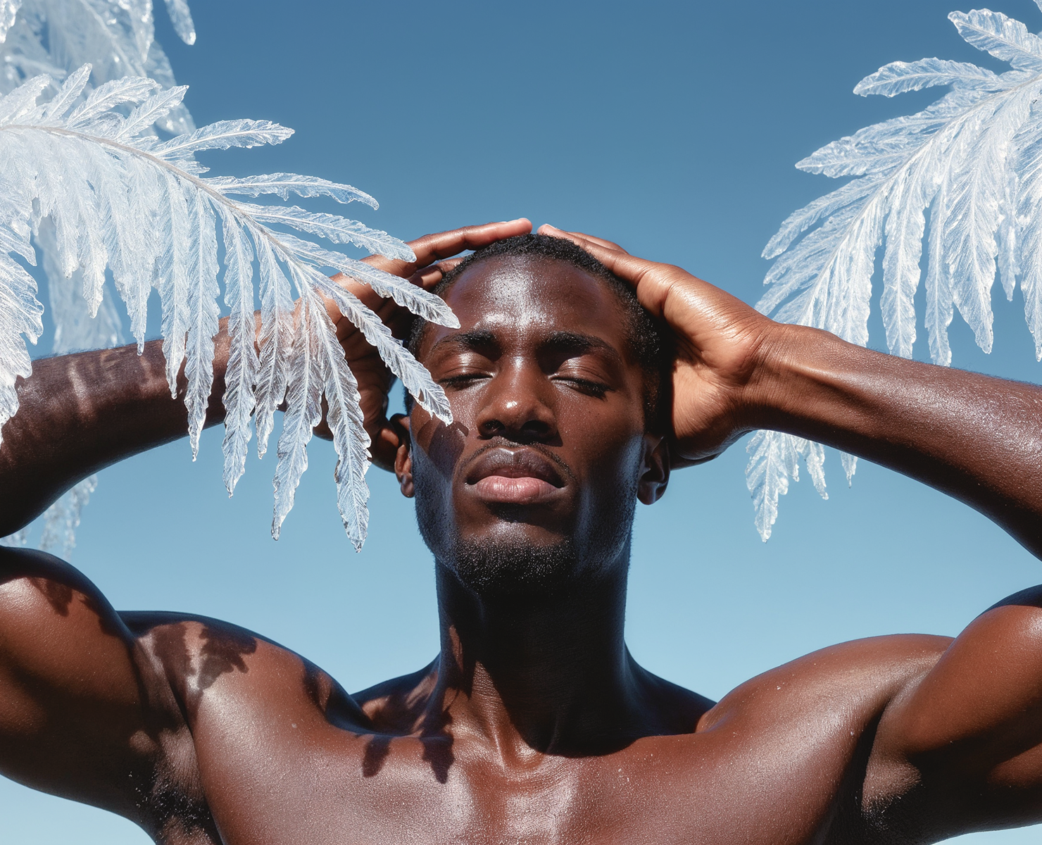 Tropiques Geles — Креативная концепция — Графика, Маркетинг на Dprofile