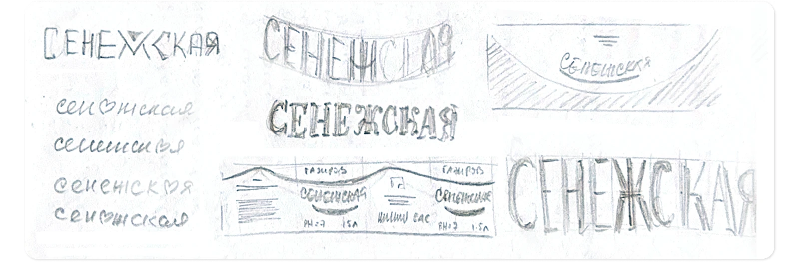 Сенежская | ребрендинг питьевой воды — Изображение №3 — Брендинг, Промдизайн на Dprofile