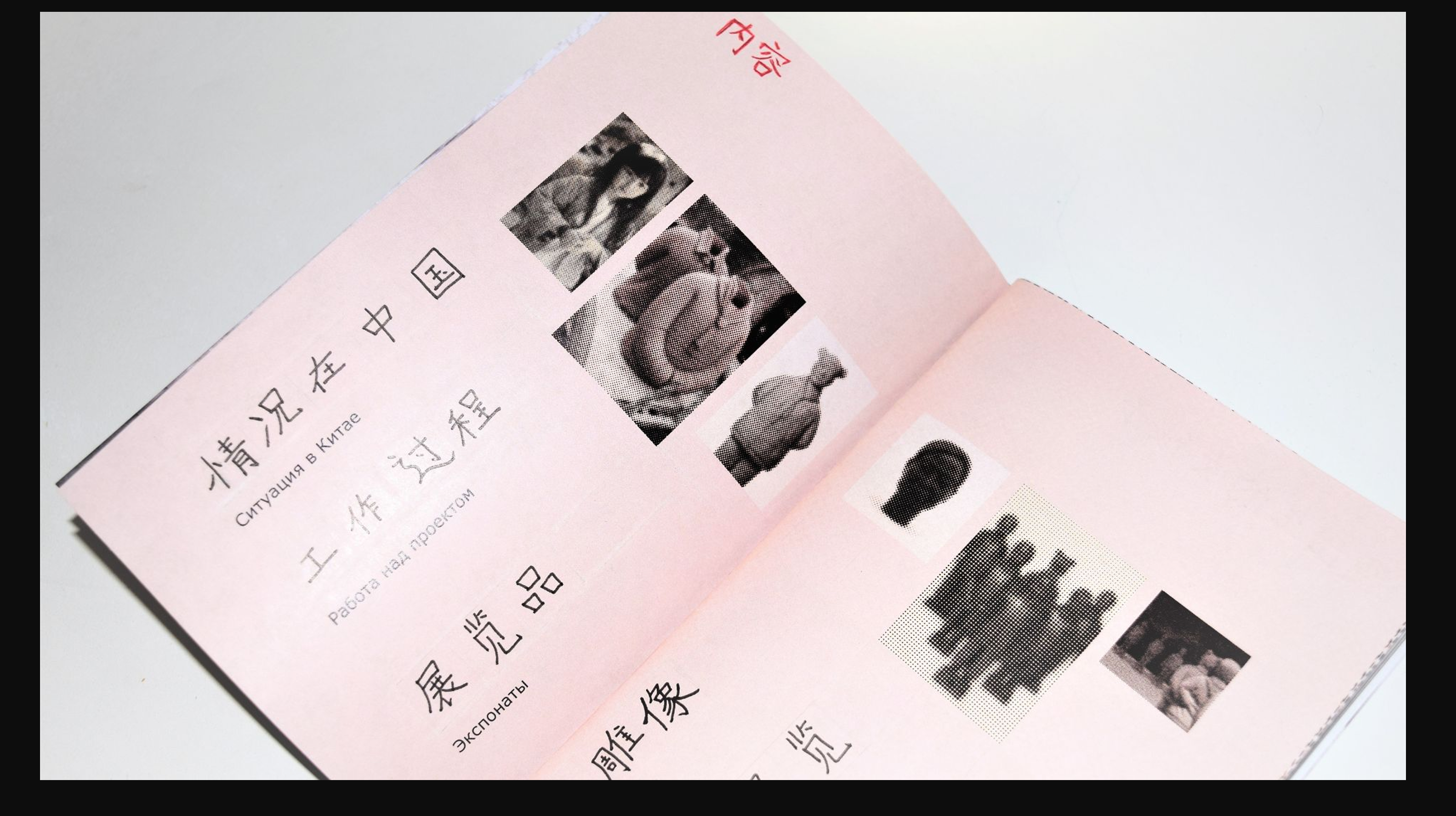 Терракотовые дочери: каталог выставки — Изображение №13 — Графика на Dprofile