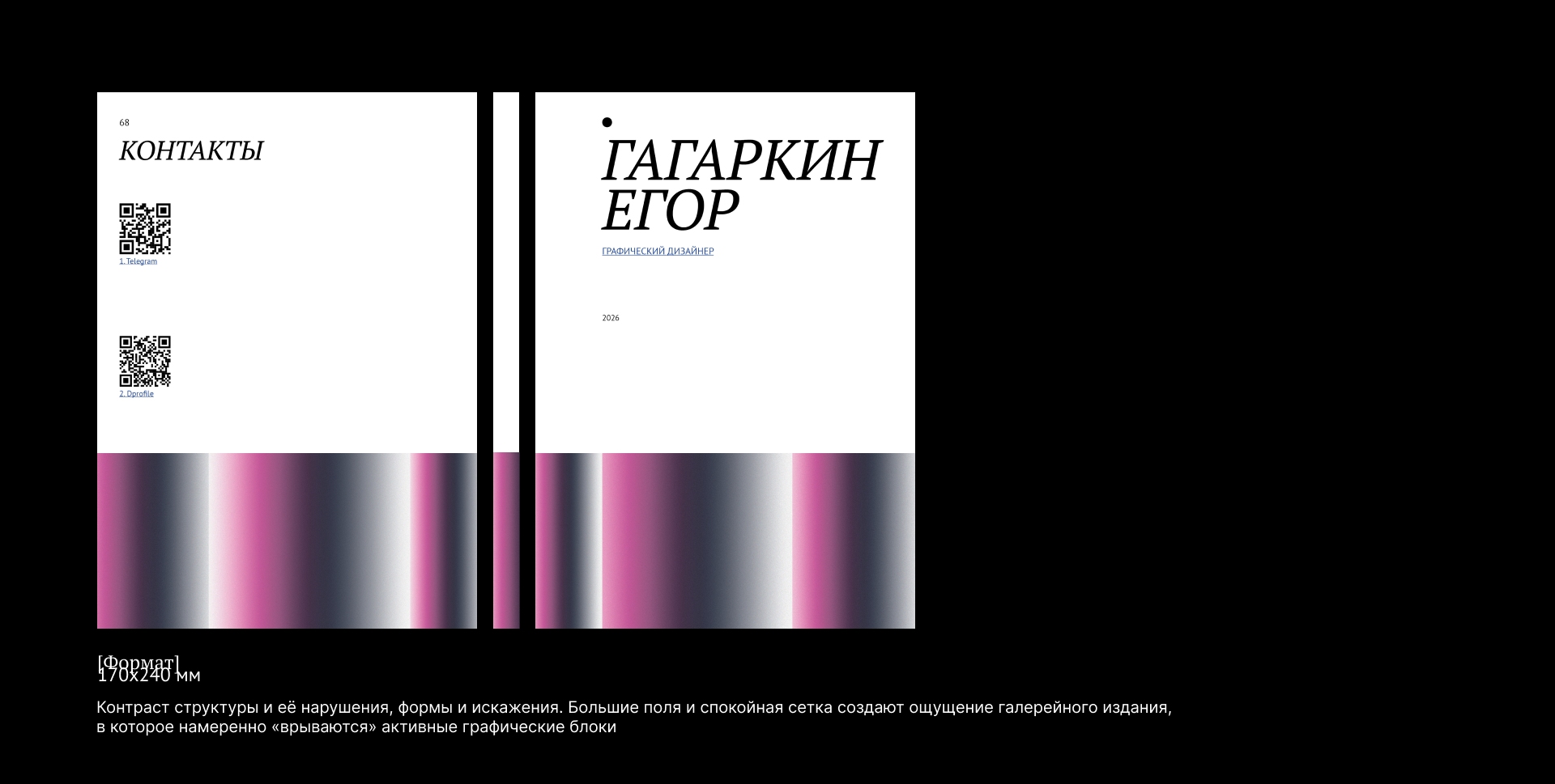 Печатное портфолио — Изображение №1 — Графика на Dprofile