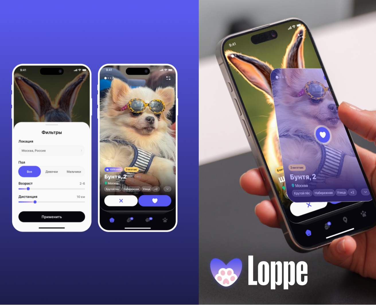 Loppe|Сервис по поиску пушистых друзей — Интерфейсы на Dprofile
