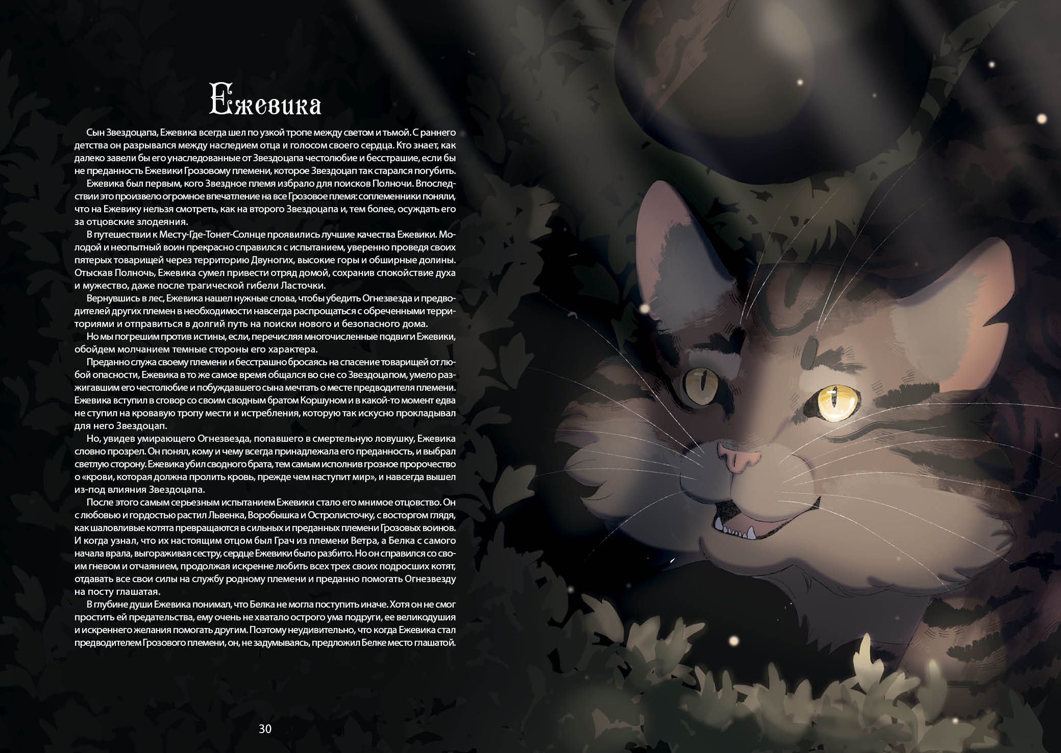 Книга-путеводитель "Коты-воители: Память племен" — Изображение №24 — Иллюстрация на Dprofile