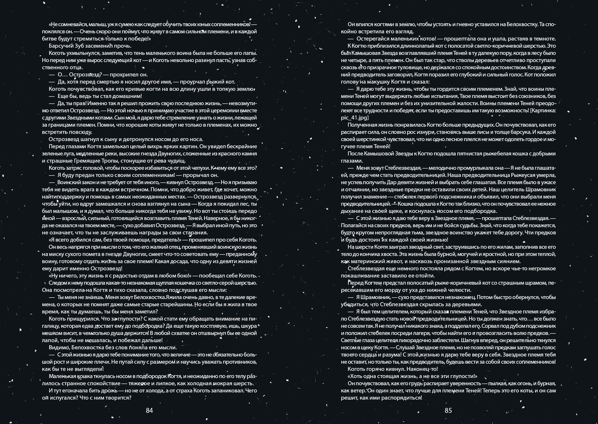 Книга-путеводитель "Коты-воители: Память племен" — Изображение №51 — Иллюстрация на Dprofile