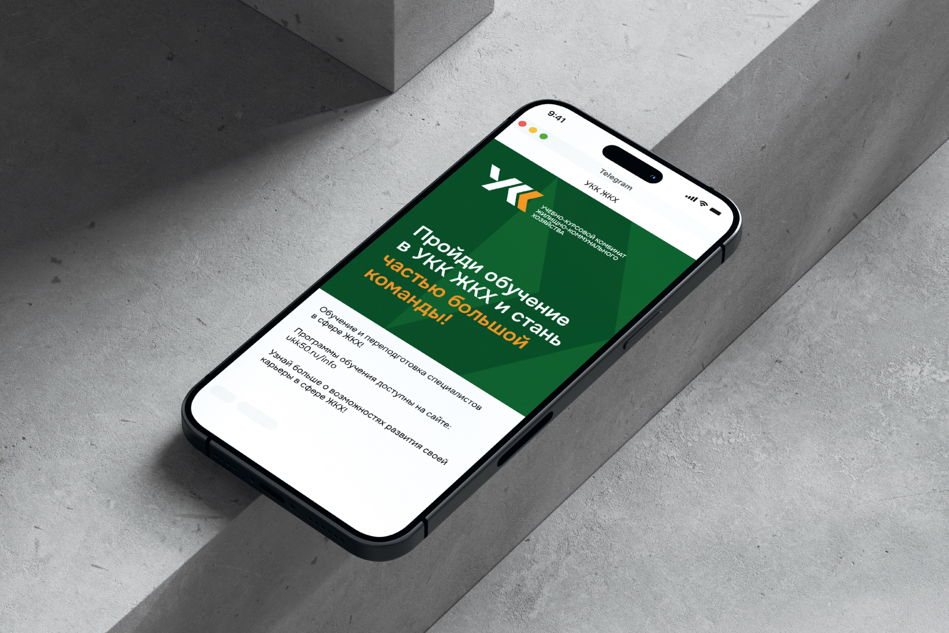 Учебно-курсовой комбинат ЖКХ — Изображение №14 — Брендинг на Dprofile