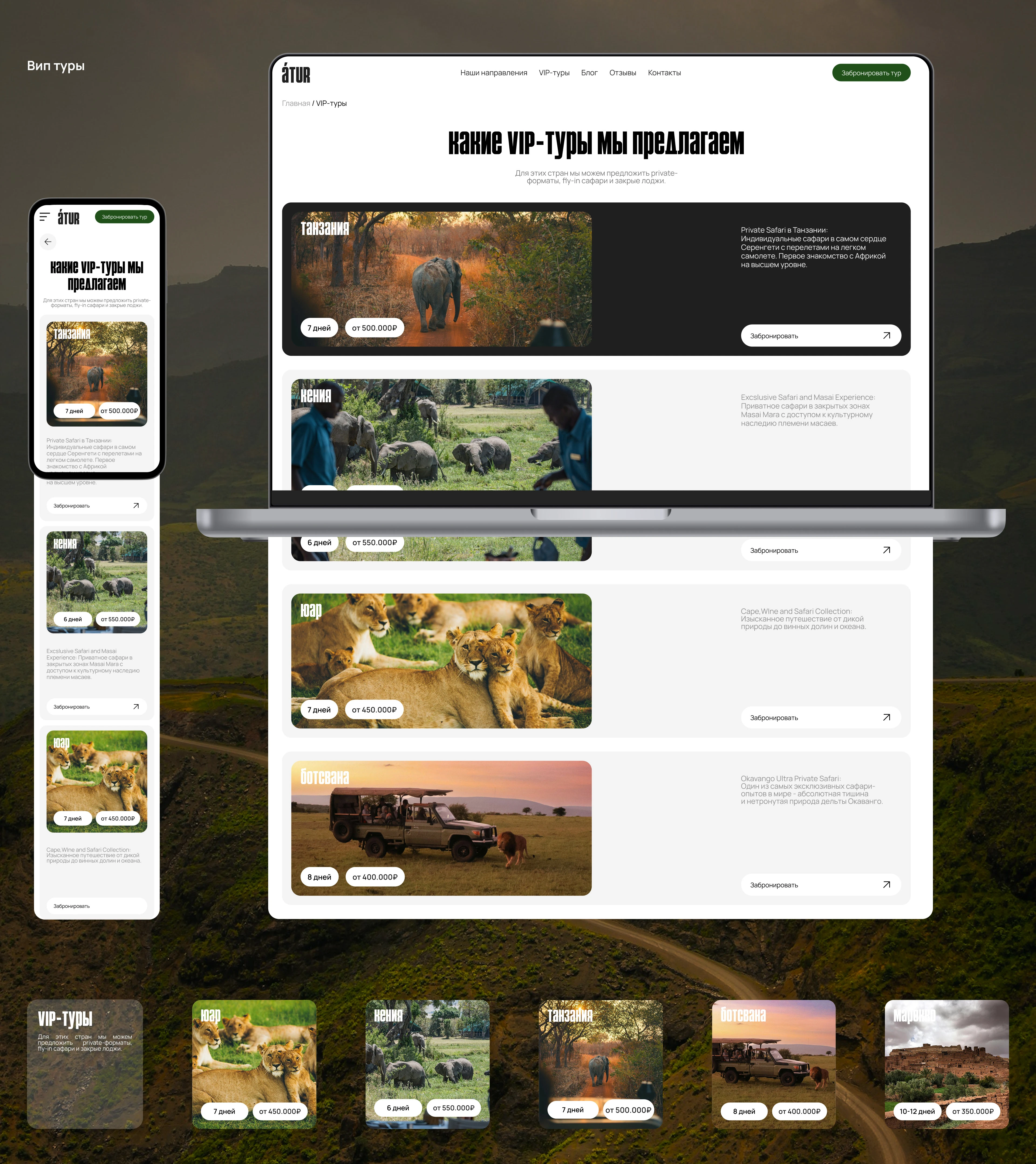 Africa Travel Website — Изображение №9 — Интерфейсы на Dprofile