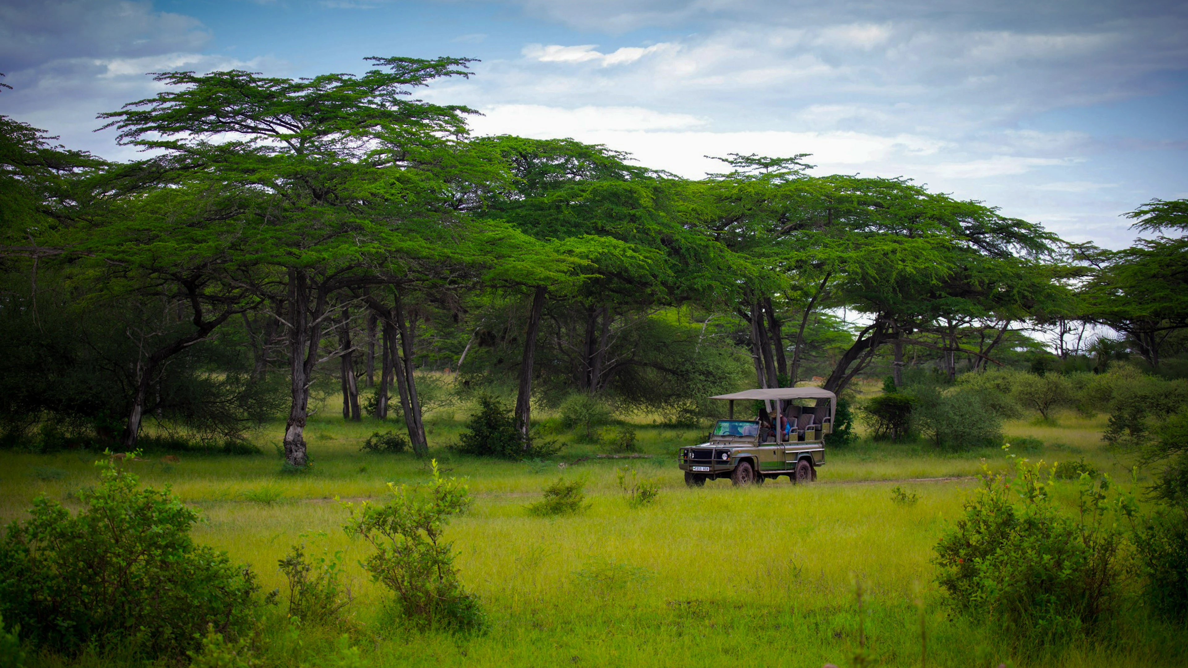 Africa Travel Website — Изображение №7 — Интерфейсы на Dprofile