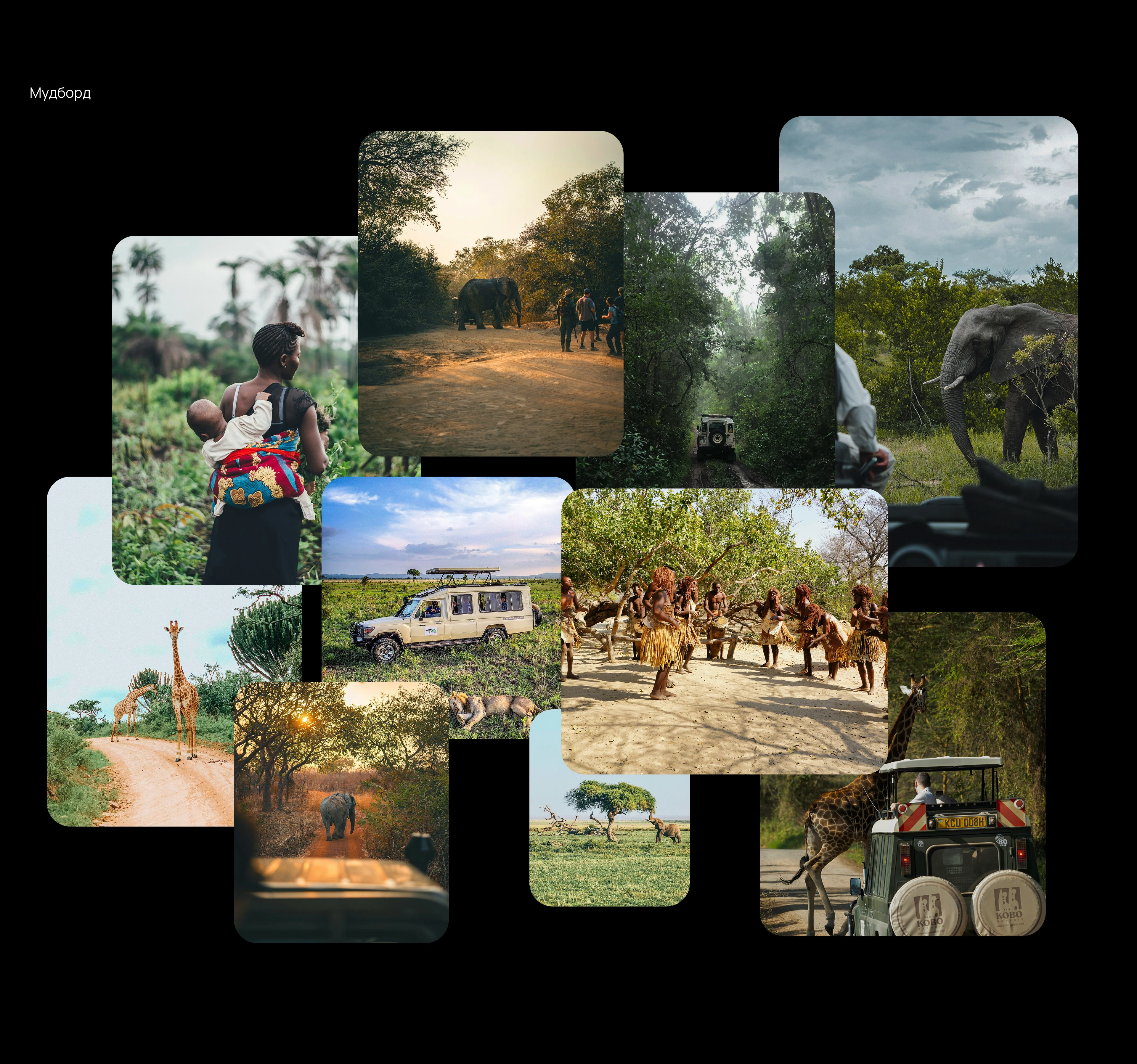 Africa Travel Website — Изображение №3 — Интерфейсы на Dprofile