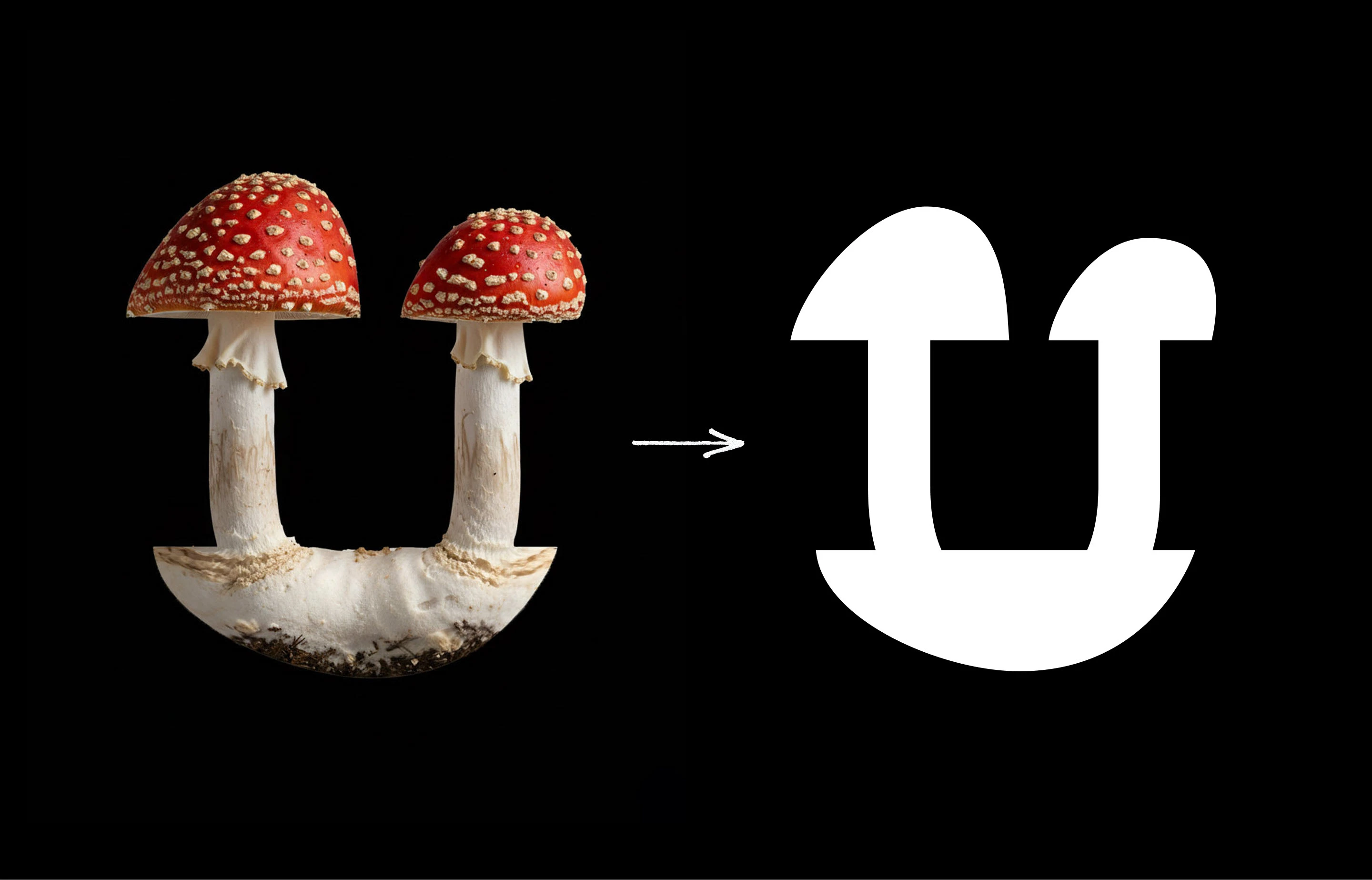 Amanita font — Изображение №2 — Графика на Dprofile