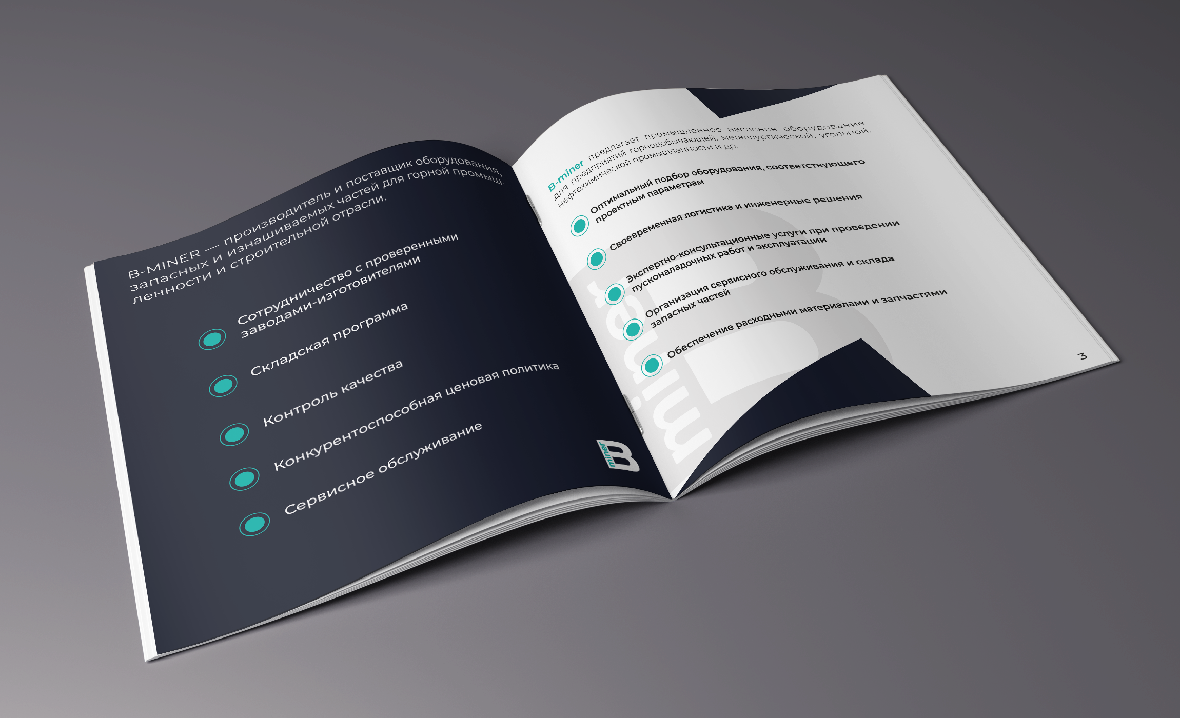 Дизайн брошюр и сайта для горнодобывающей отрасли — Изображение №6 — Брендинг, Графика на Dprofile