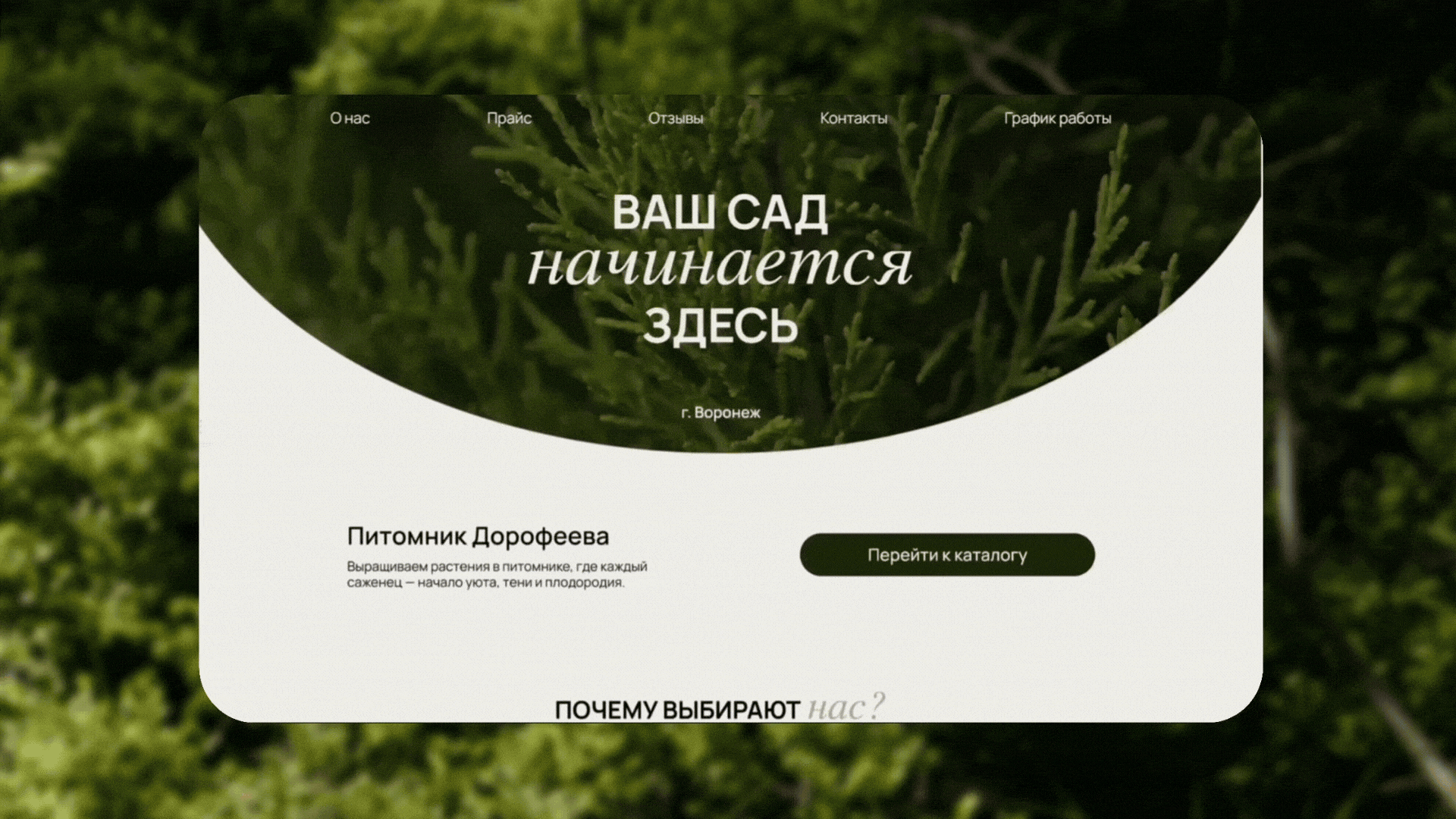 САЙТ НА TILDA | Питомник Дорофеева — Изображение №9 — Интерфейсы на Dprofile