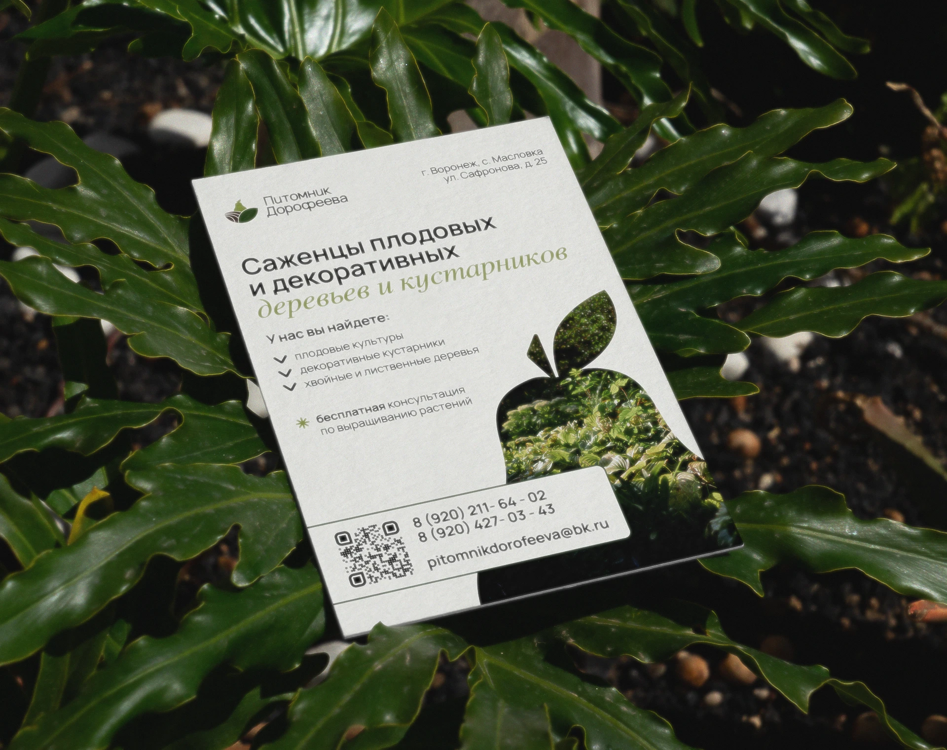 Питомник Дорофеева / Айдентика бренда — Изображение №8 — Брендинг на Dprofile