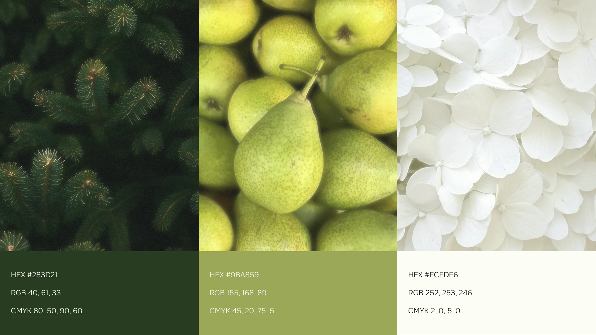 Питомник Дорофеева / Айдентика бренда — Изображение №5 — Брендинг на Dprofile