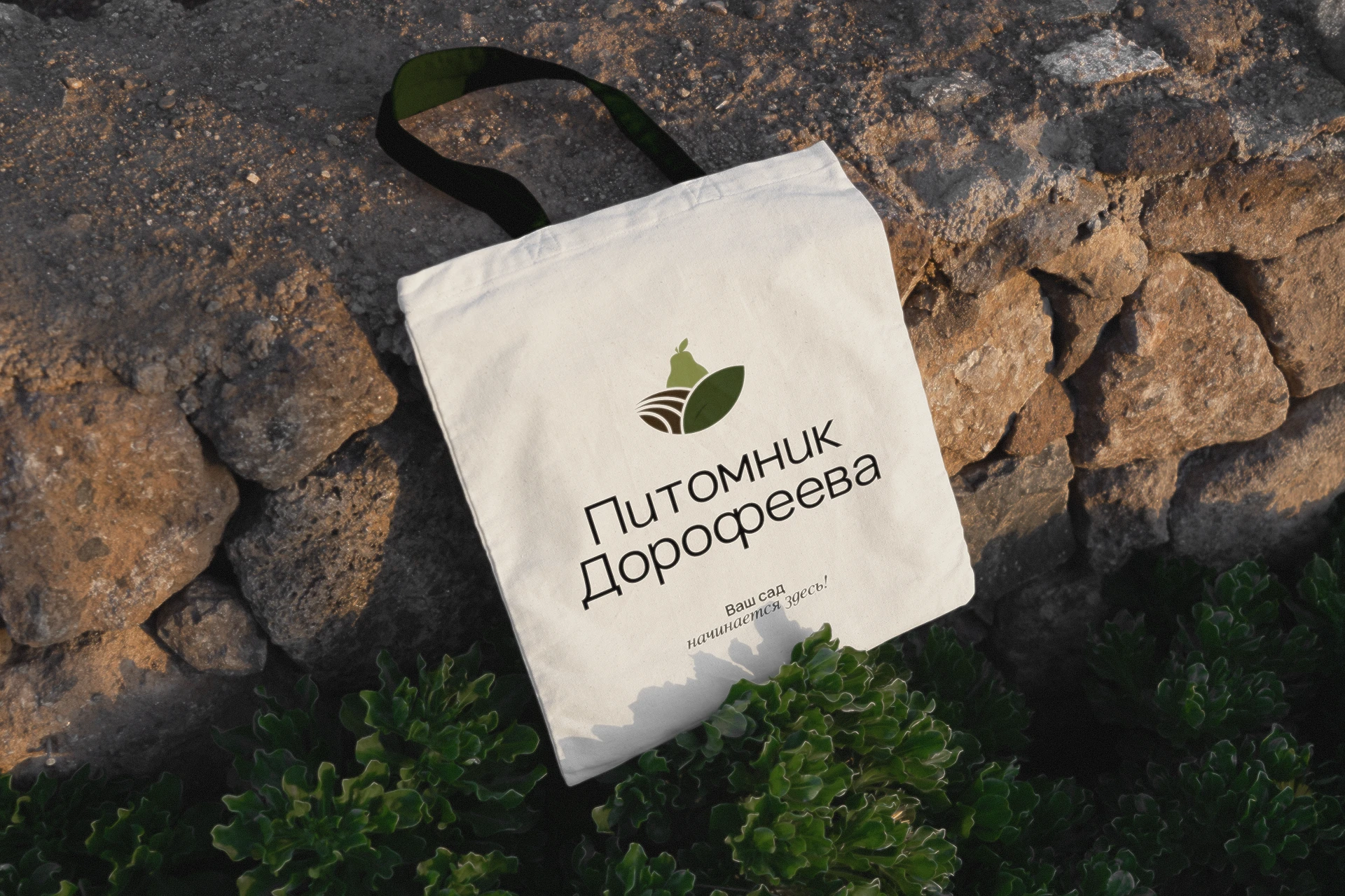 Питомник Дорофеева / Айдентика бренда — Изображение №11 — Брендинг на Dprofile