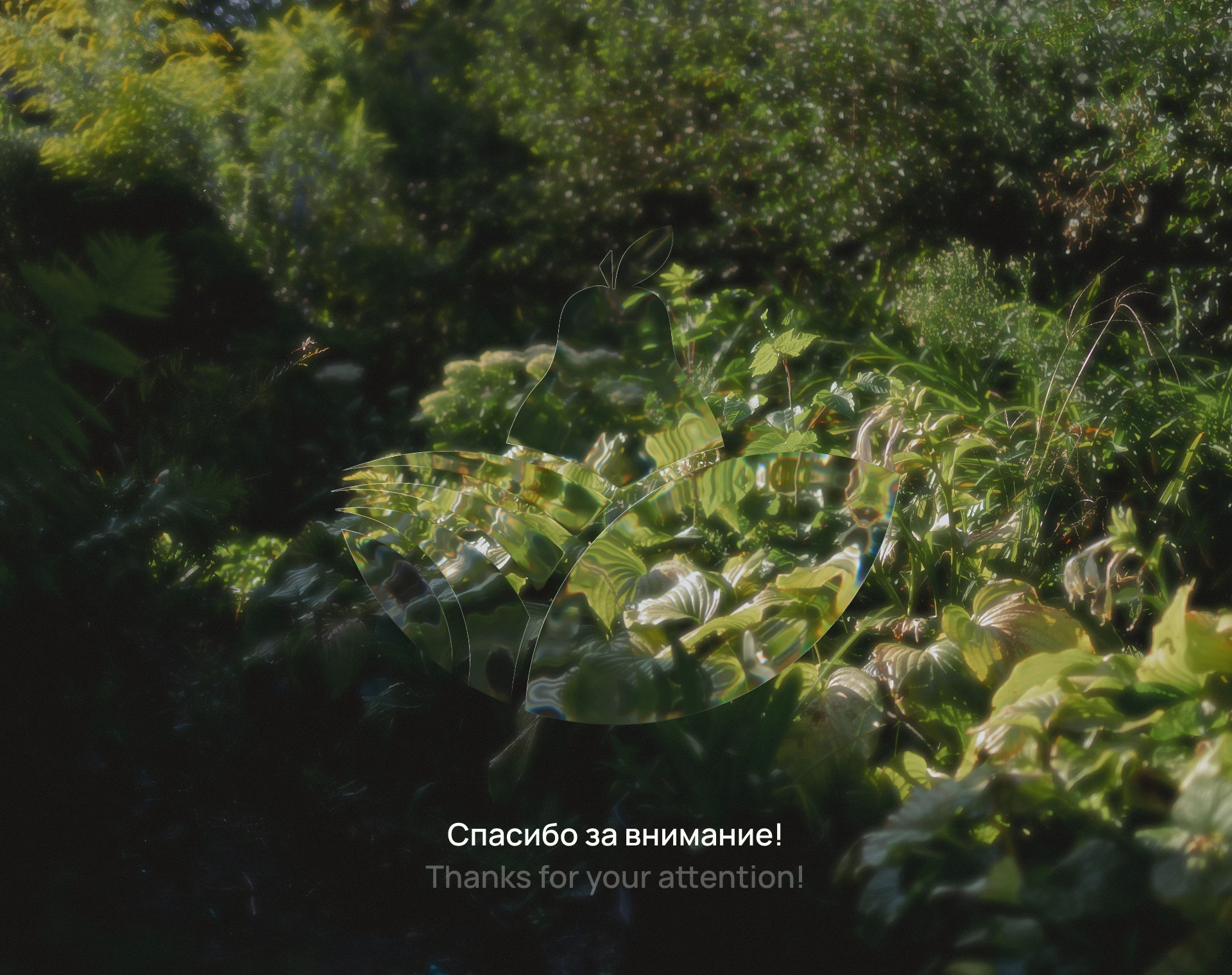 Питомник Дорофеева / Айдентика бренда — Изображение №14 — Брендинг на Dprofile