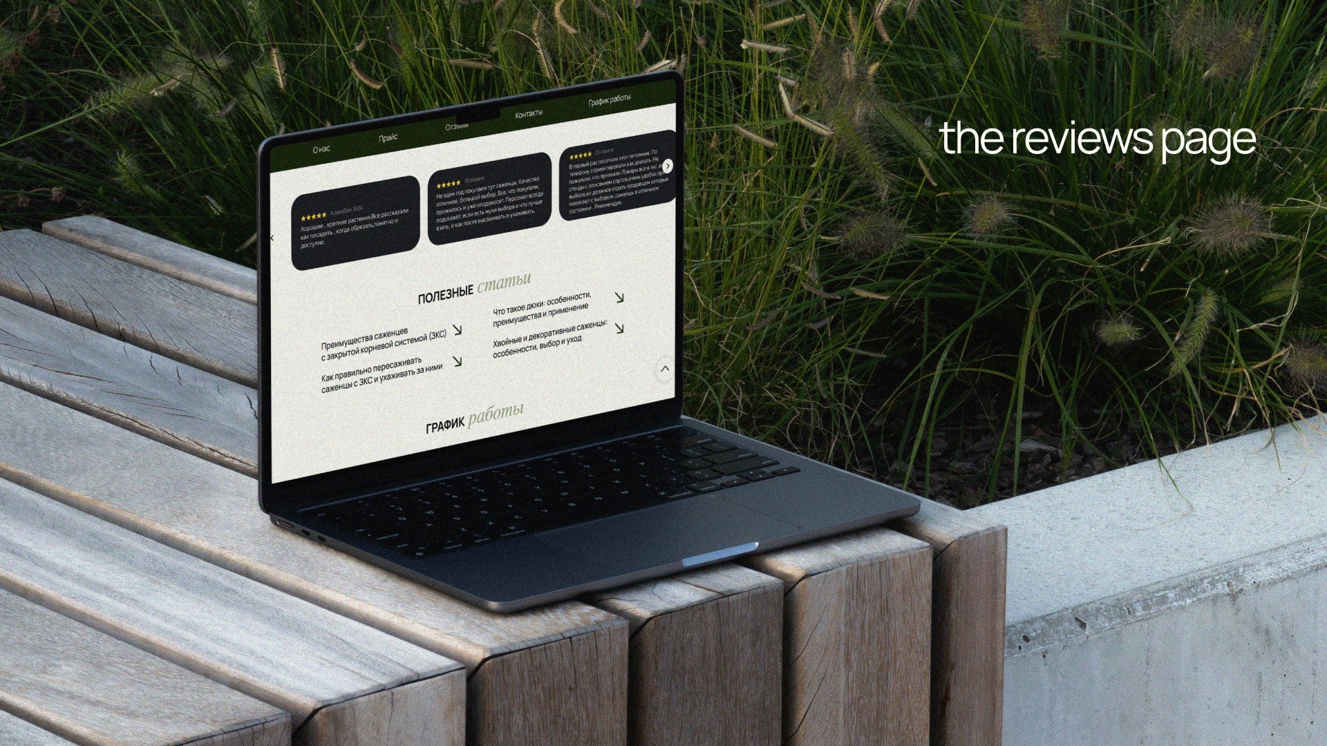 САЙТ НА TILDA | Питомник Дорофеева — Изображение №4 — Интерфейсы на Dprofile