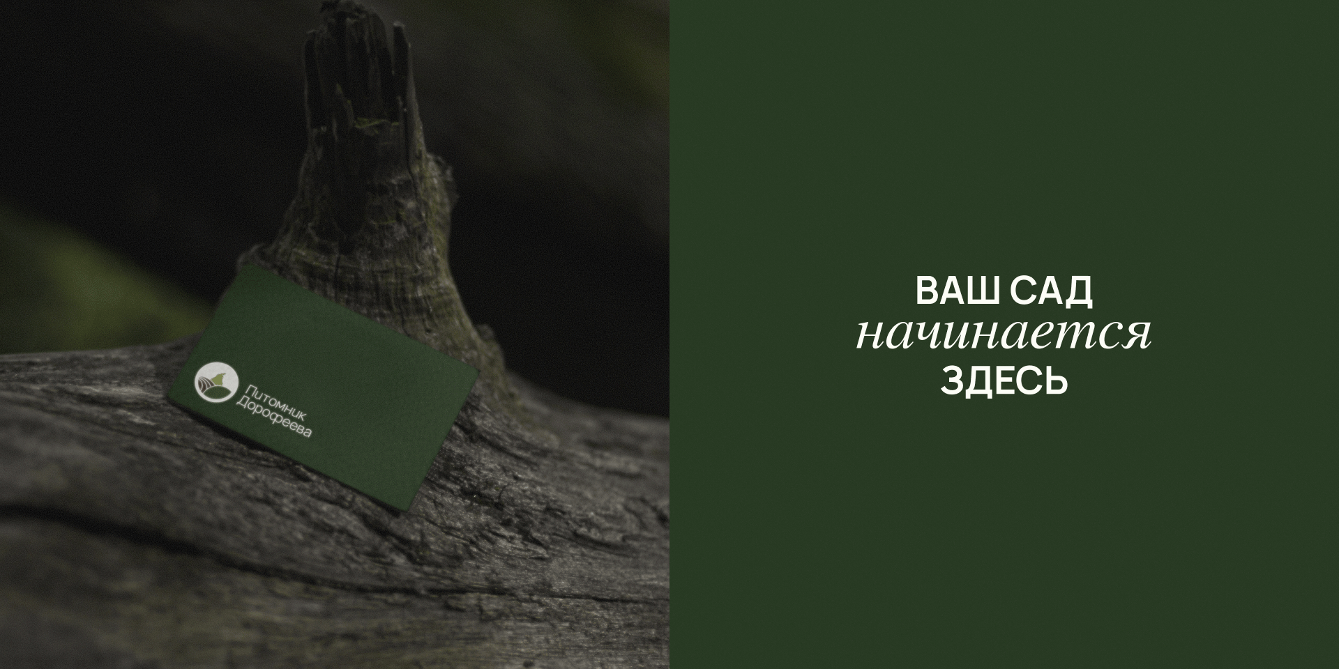 Питомник Дорофеева / Айдентика бренда — Изображение №3 — Брендинг на Dprofile