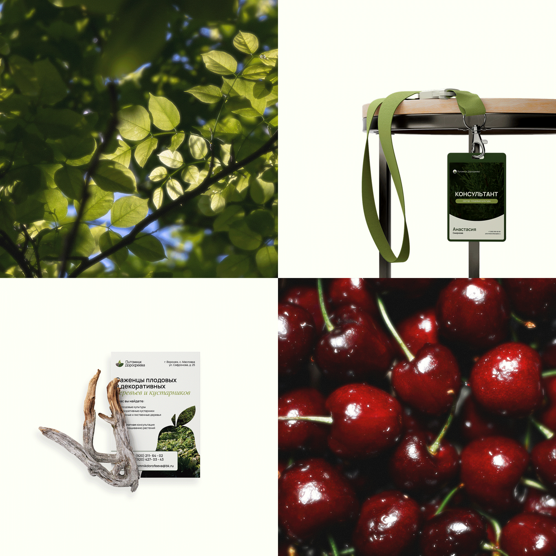 Питомник Дорофеева / Айдентика бренда — Изображение №10 — Брендинг на Dprofile