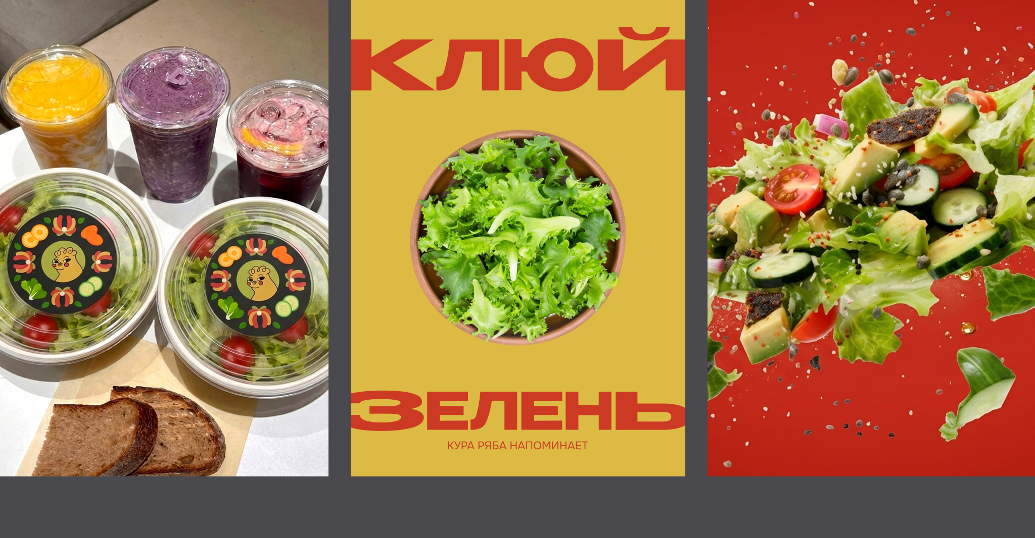 КУРА РЯБА: ПРОПАГАНДА ЗЕЛЕНИ — Изображение №18 — Брендинг на Dprofile