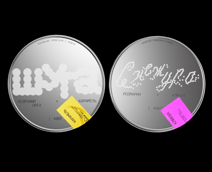 Упаковка / мороженое / айдентика бренда — Брендинг на Dprofile