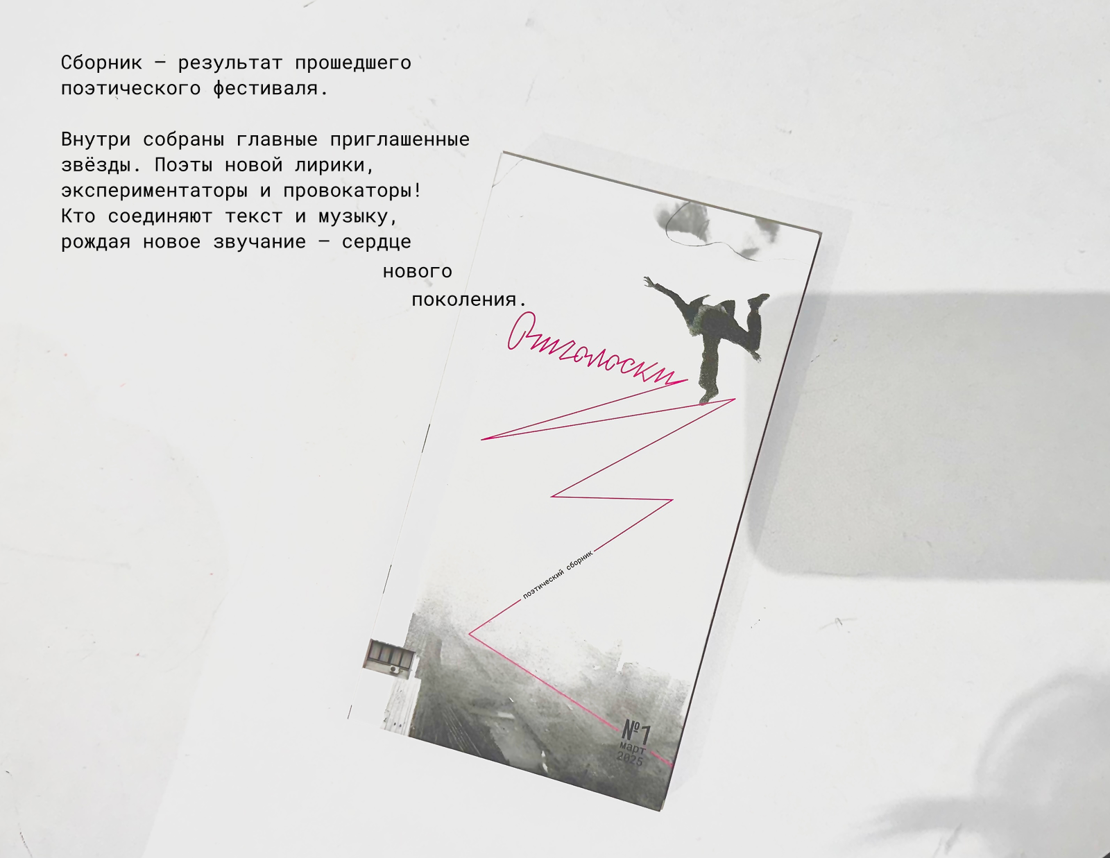 Отголоски | сборник новой поэзии — Изображение №2 — Брендинг, Графика на Dprofile