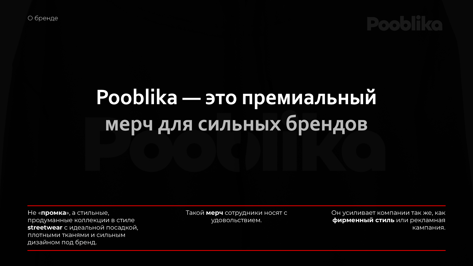 Презентация для Pooblika — Изображение №2 — Брендинг, Маркетинг на Dprofile
