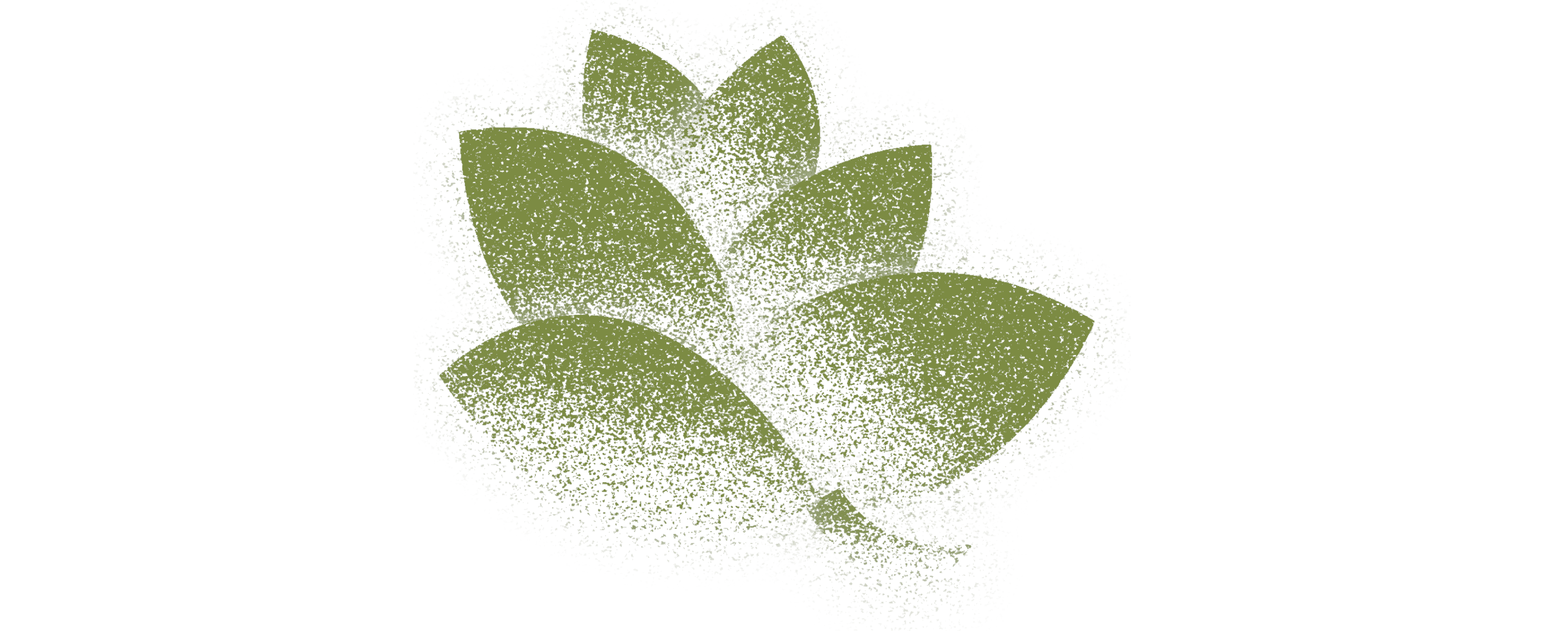 NATURE SCENT - брендинг упаковки ароматизаторов для авто — Изображение №4 — Брендинг, Иллюстрация на Dprofile