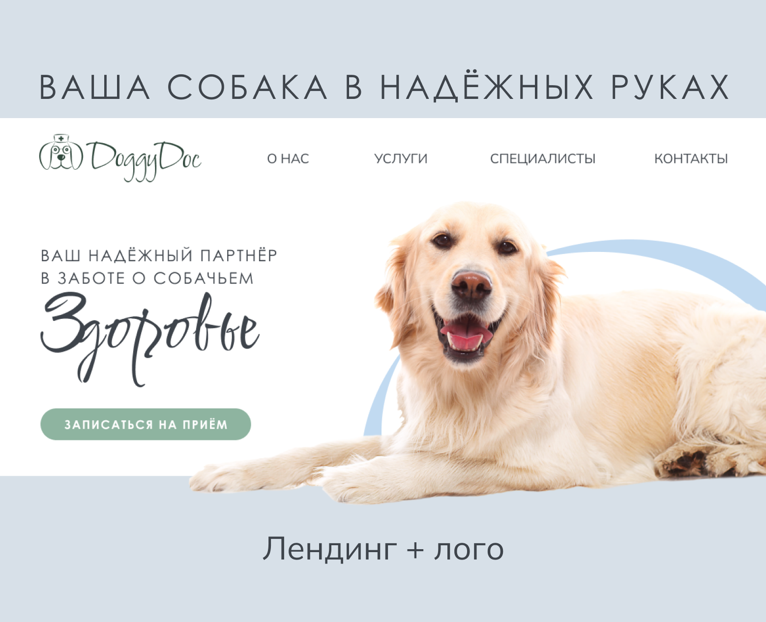 Лендинг и логотип для ветеринарной клиники — Интерфейсы, Брендинг на Dprofile