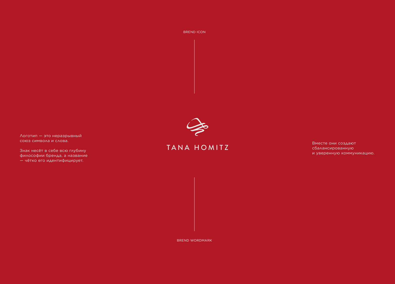 Разработка айдентики для бренда TANA HOMITZ — Изображение №16 — Брендинг на Dprofile