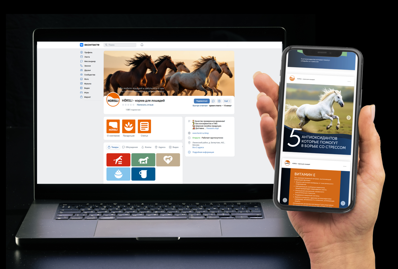 HORSLI | Айдентика, упаковка — Изображение №7 — Брендинг, Промдизайн на Dprofile
