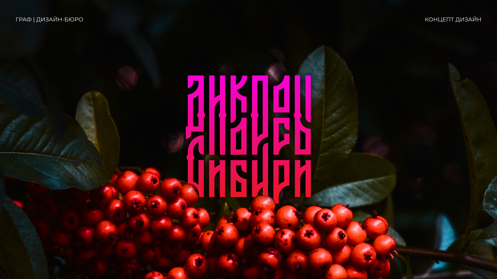 Дикоросы Сибири | Айдентика — Изображение №1 — Брендинг на Dprofile