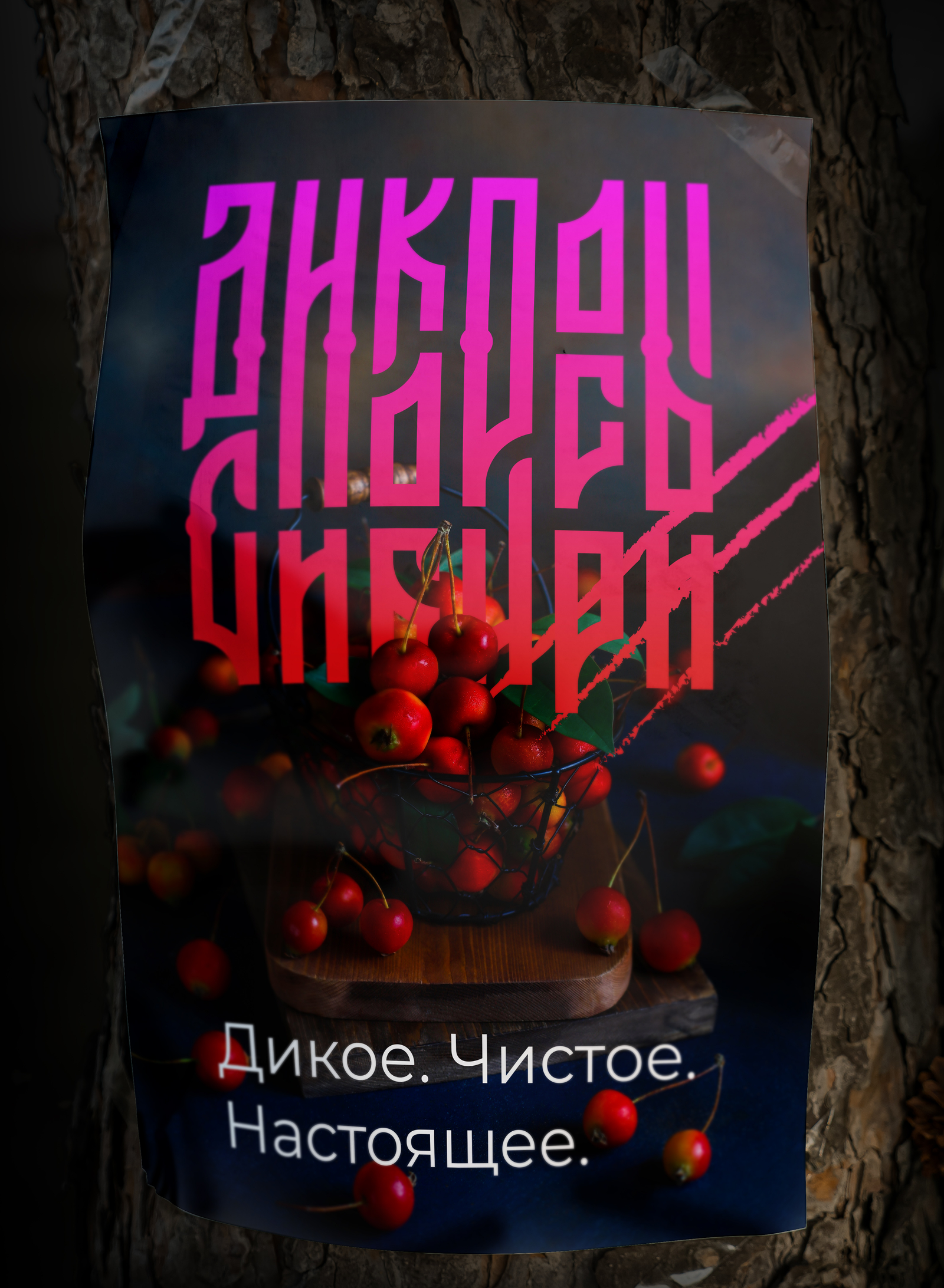 Дикоросы Сибири | Айдентика — Изображение №3 — Брендинг на Dprofile