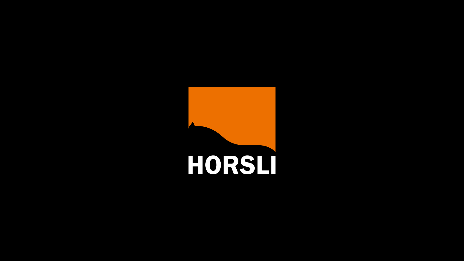HORSLI | Айдентика, упаковка — Изображение №2 — Брендинг, Промдизайн на Dprofile