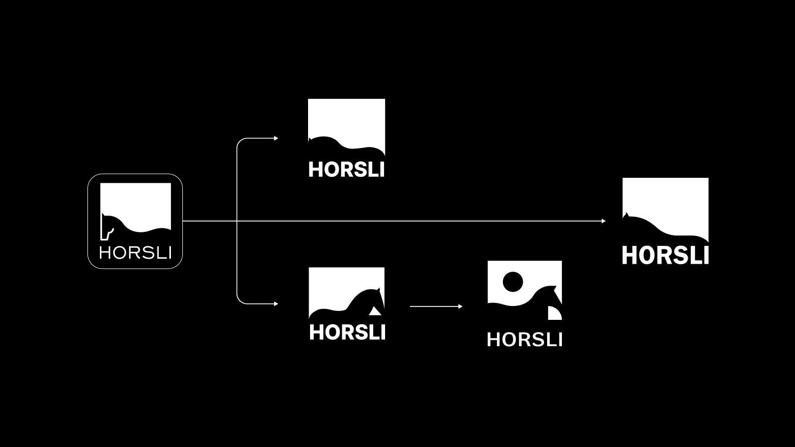HORSLI | Айдентика, упаковка — Изображение №1 — Брендинг, Промдизайн на Dprofile