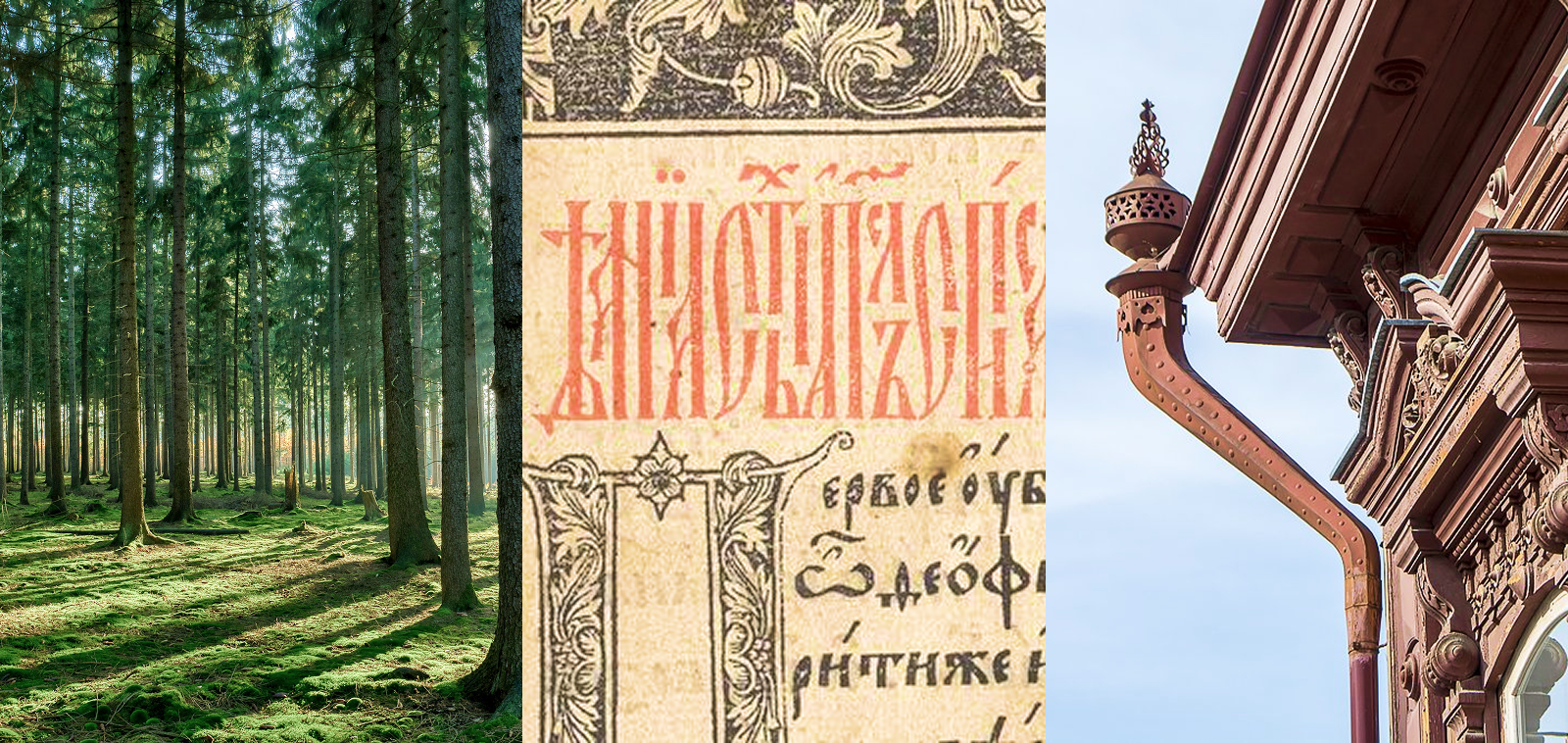 Дикоросы Сибири | Айдентика — Изображение №2 — Брендинг на Dprofile