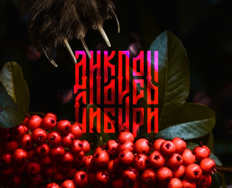 Дикоросы Сибири | Айдентика — Брендинг на Dprofile