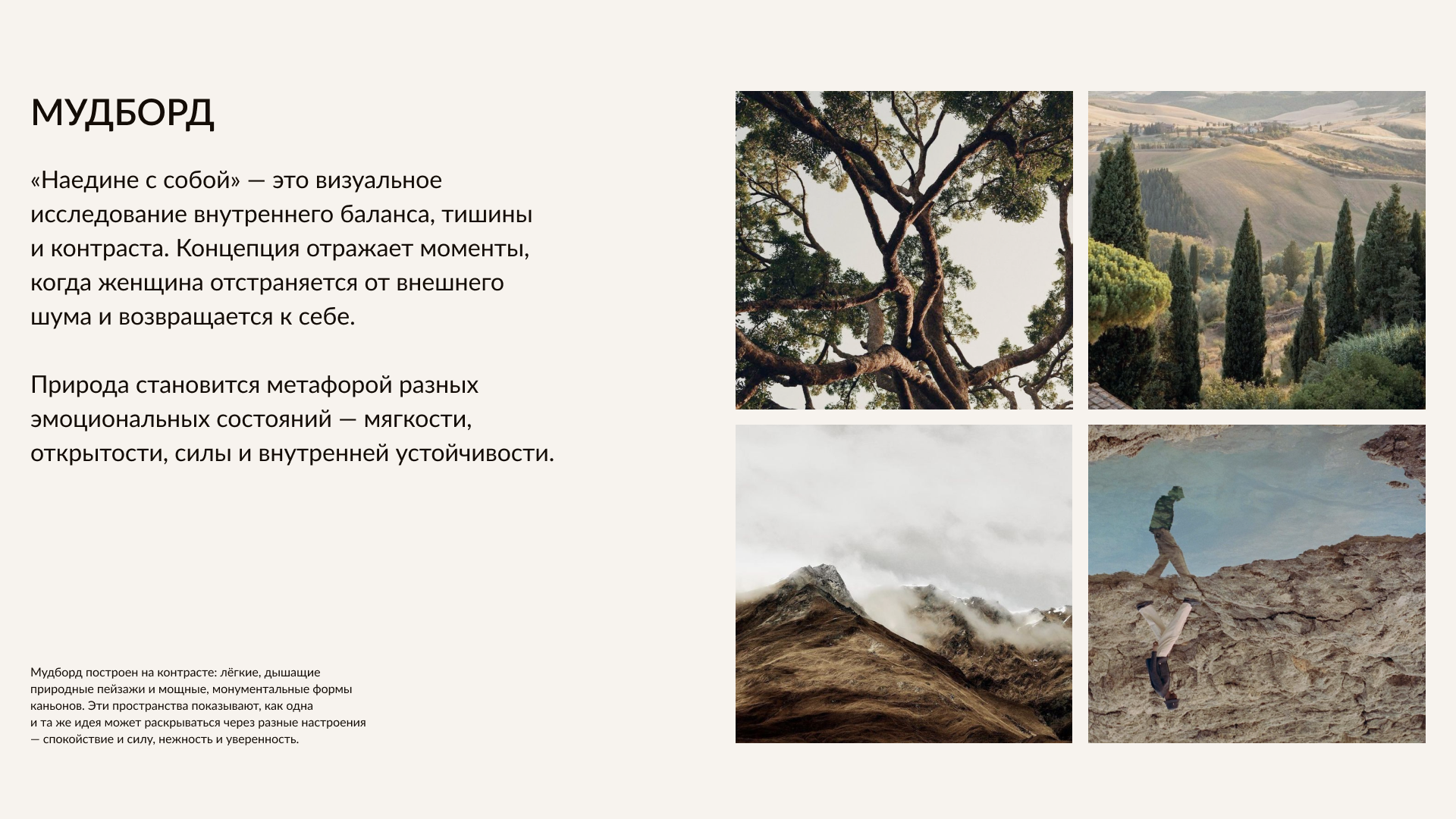 12 STOREEZ / AI креативы — Изображение №3 — Анимация, Маркетинг на Dprofile