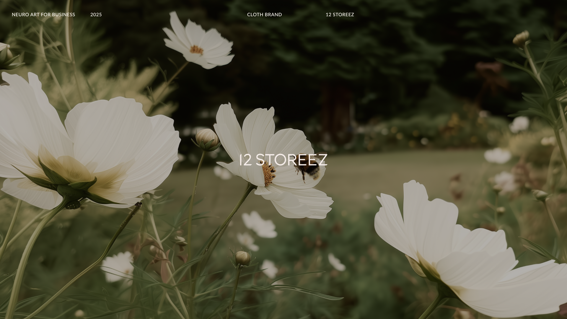 12 STOREEZ / AI креативы — Изображение №1 — Анимация, Маркетинг на Dprofile