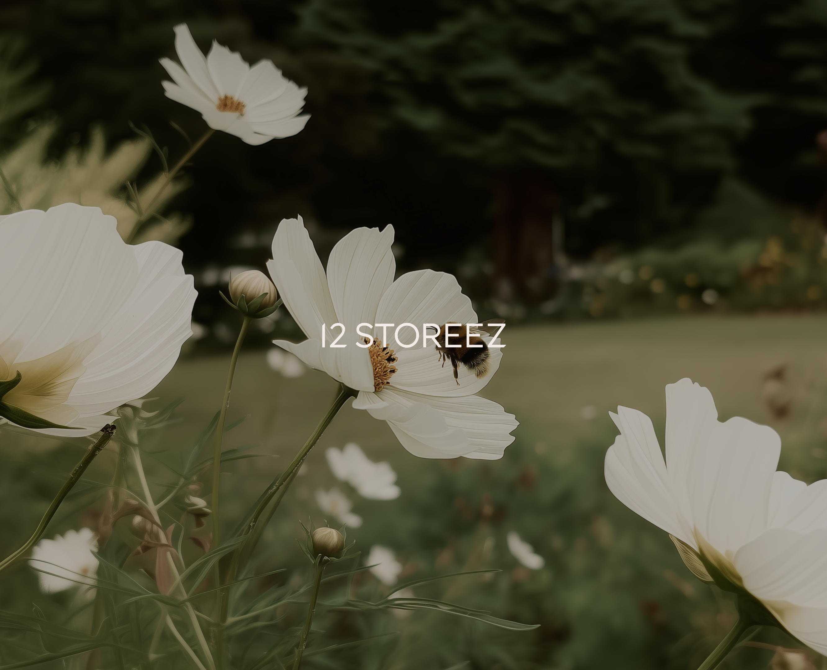 12 STOREEZ / AI креативы — Анимация, Маркетинг на Dprofile