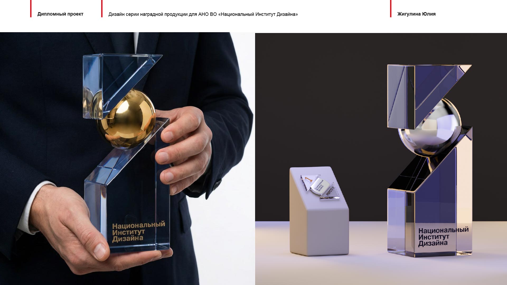Дипломный проект Серия наградной продукции для НИД — Изображение №5 — Брендинг, Иллюстрация на Dprofile