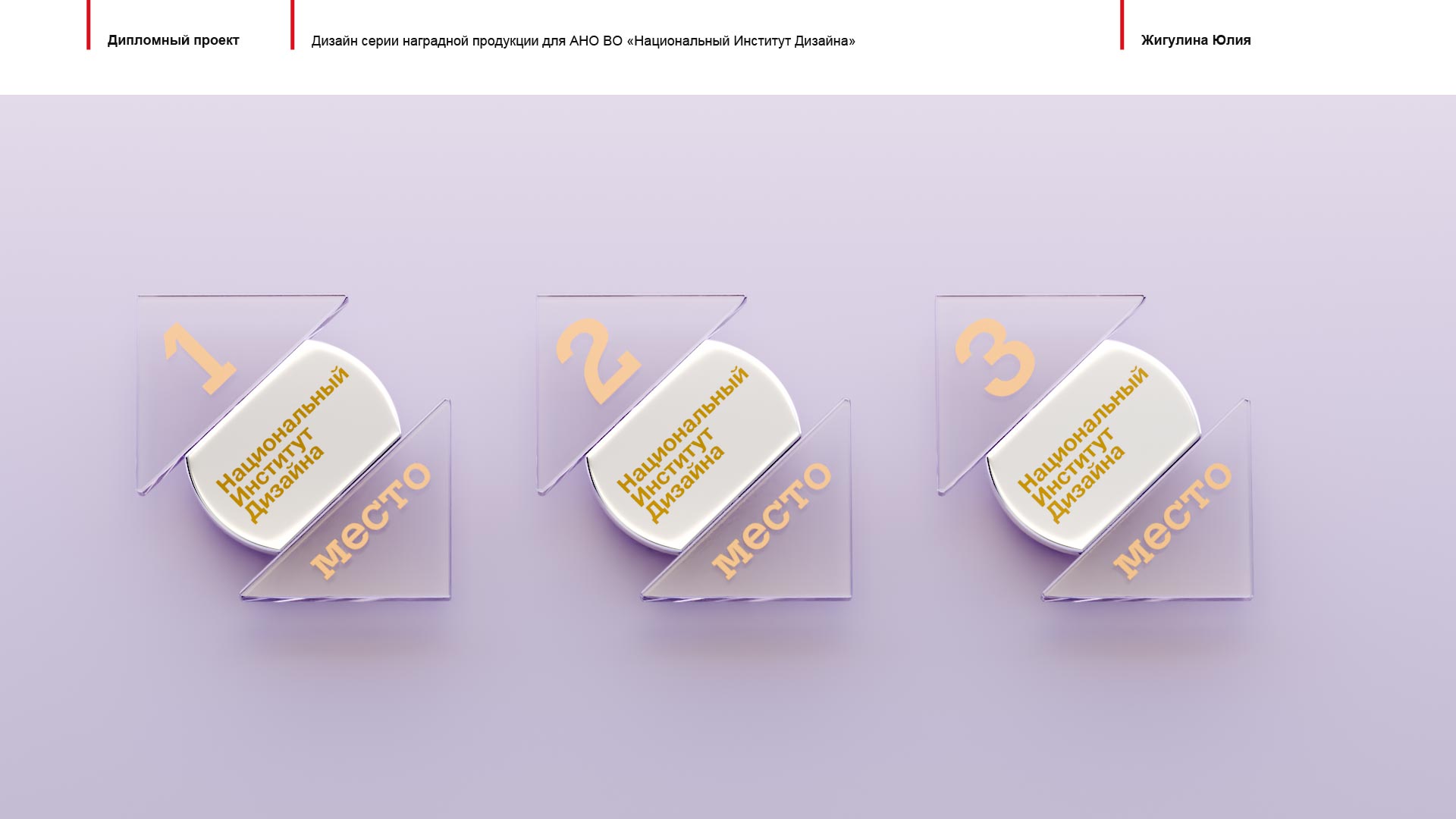 Дипломный проект Серия наградной продукции для НИД — Изображение №6 — Брендинг, Иллюстрация на Dprofile