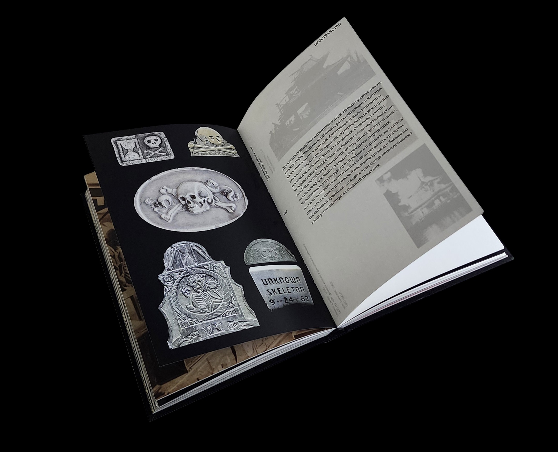 Культура ужаса. ХХ век｜Визуальное исследование на Dprofile