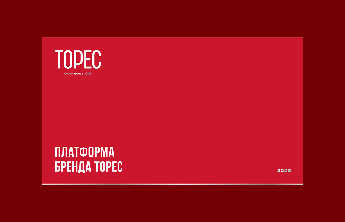 Торес — Изображение №14 — Брендинг на Dprofile