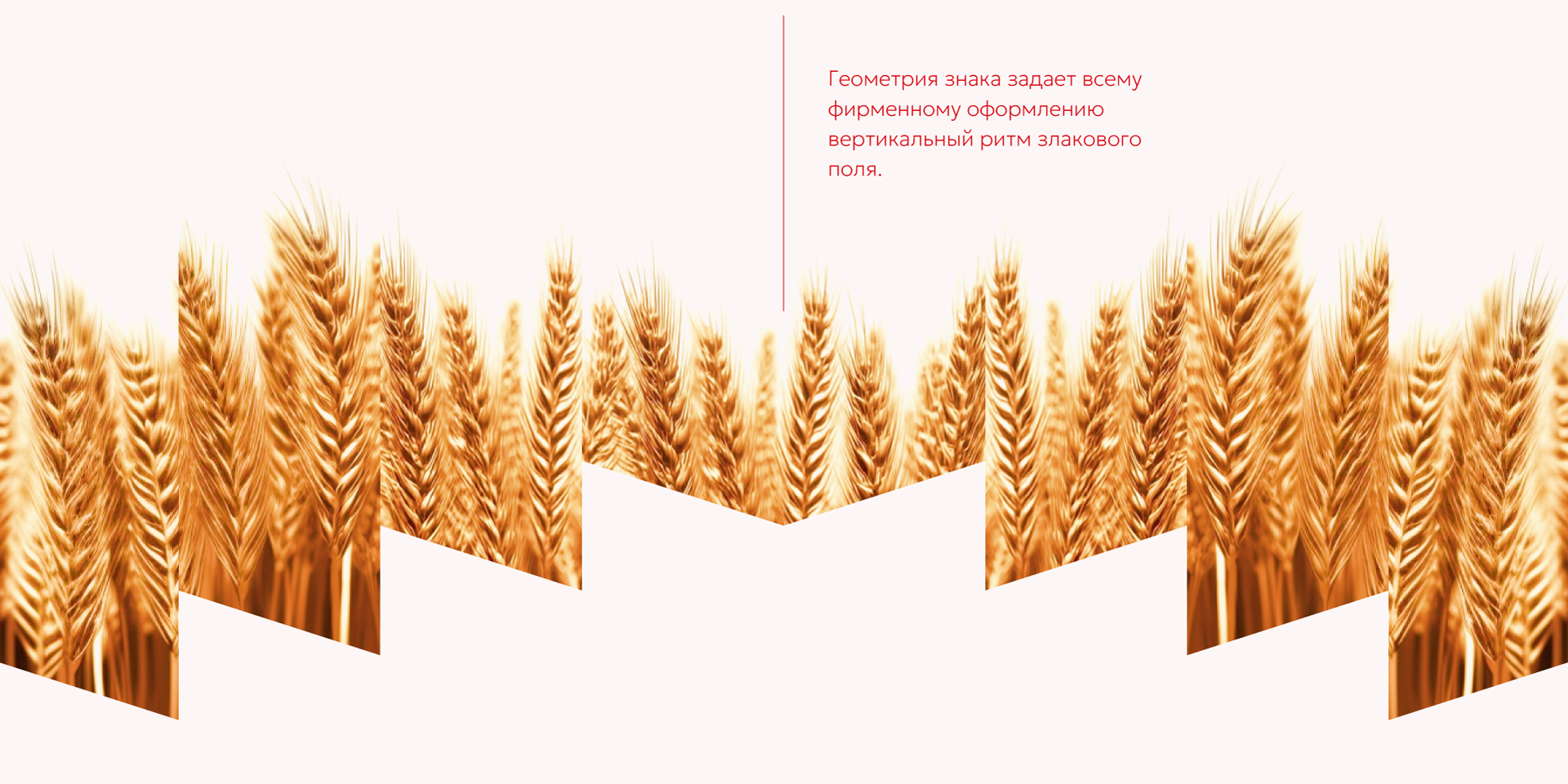 Крупы и макароны Richfield — Изображение №2 — Брендинг на Dprofile