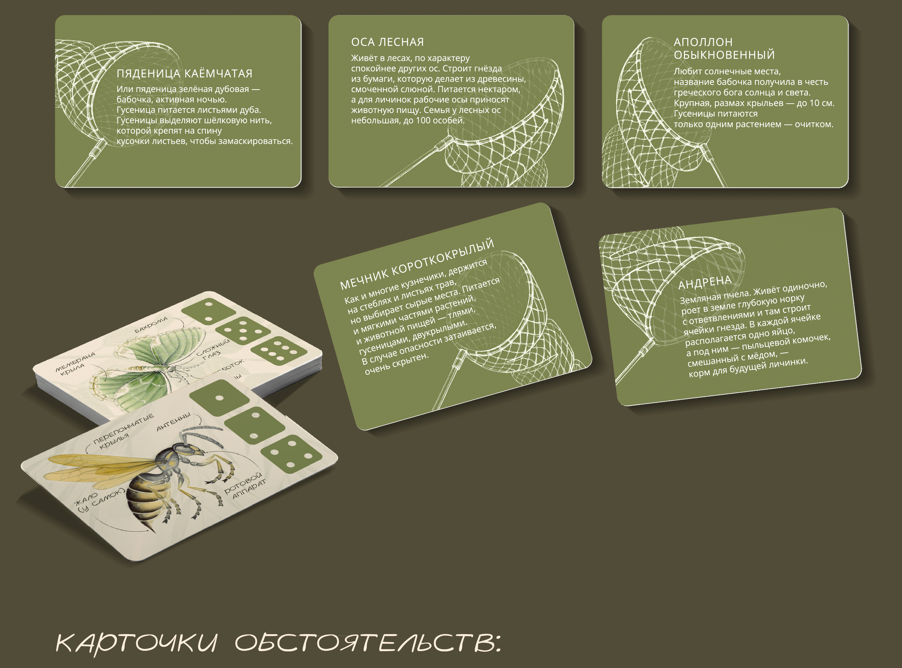 Дизайн настольной игры "САЧОК И БЛОКНОТ" — Изображение №5 — Иллюстрация, Графика на Dprofile