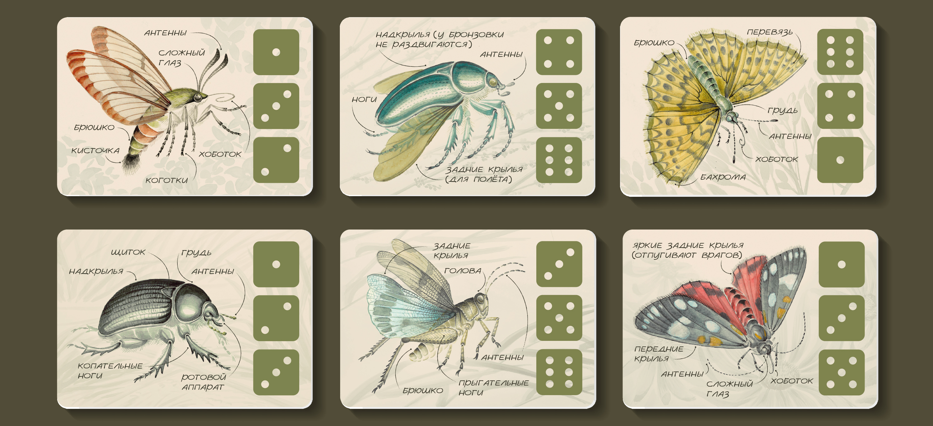 Дизайн настольной игры "САЧОК И БЛОКНОТ" — Изображение №4 — Иллюстрация, Графика на Dprofile