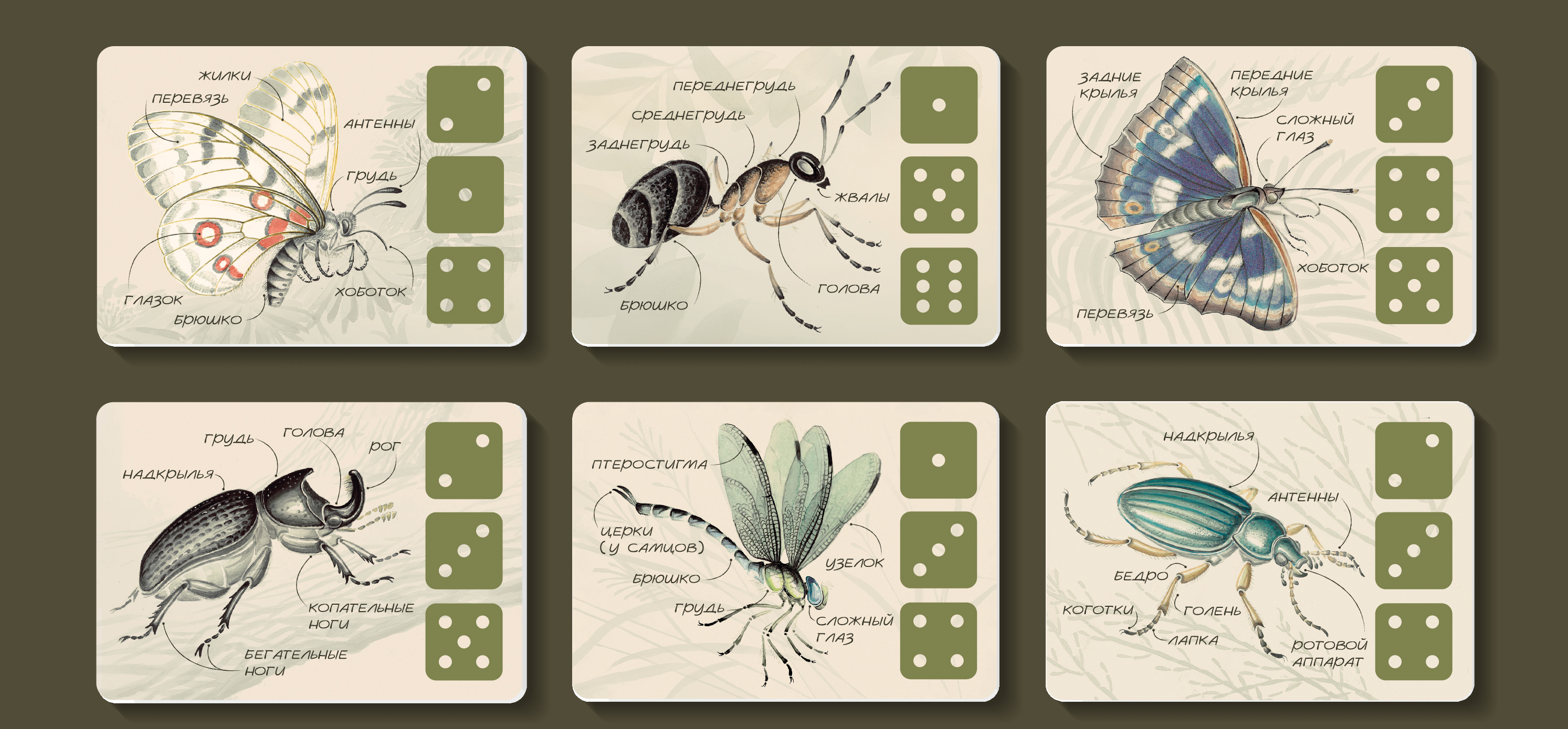 Дизайн настольной игры "САЧОК И БЛОКНОТ" — Изображение №3 — Иллюстрация, Графика на Dprofile