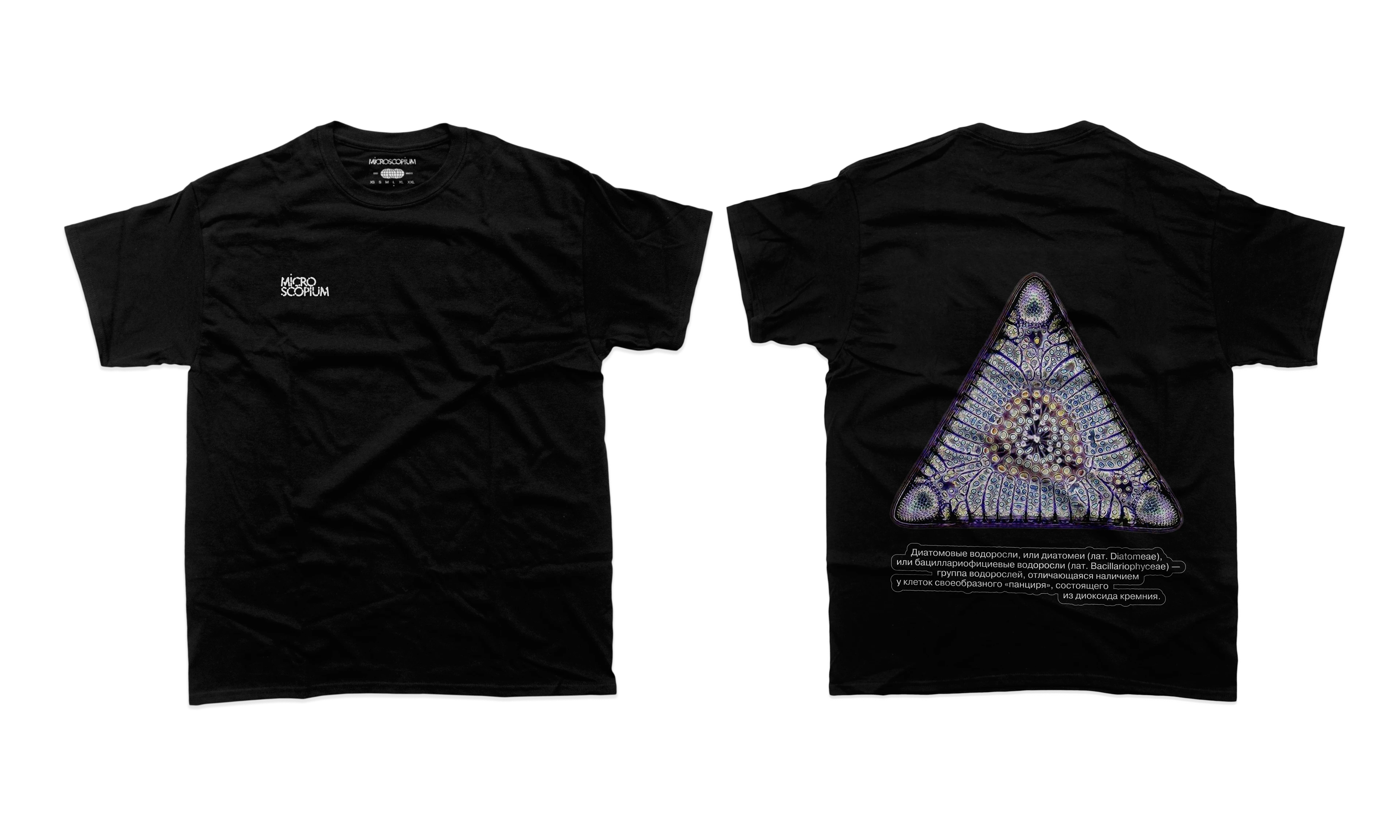 коллекция принтов на футболки// 2023-2025 — Изображение №5 — Брендинг, Графика на Dprofile