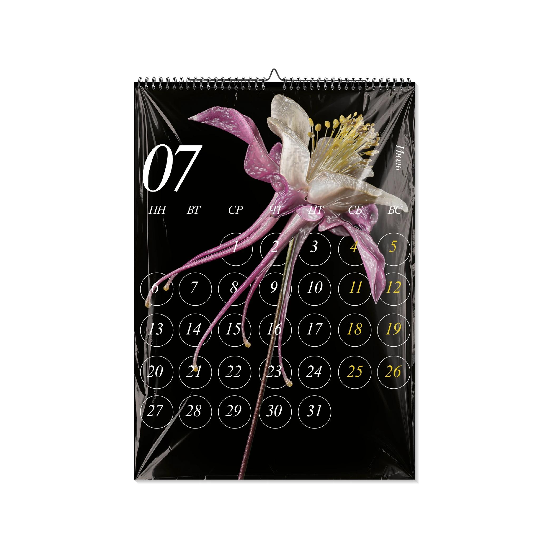 \\календарь на 2026 год\\ — Изображение №8 — Брендинг, Графика на Dprofile