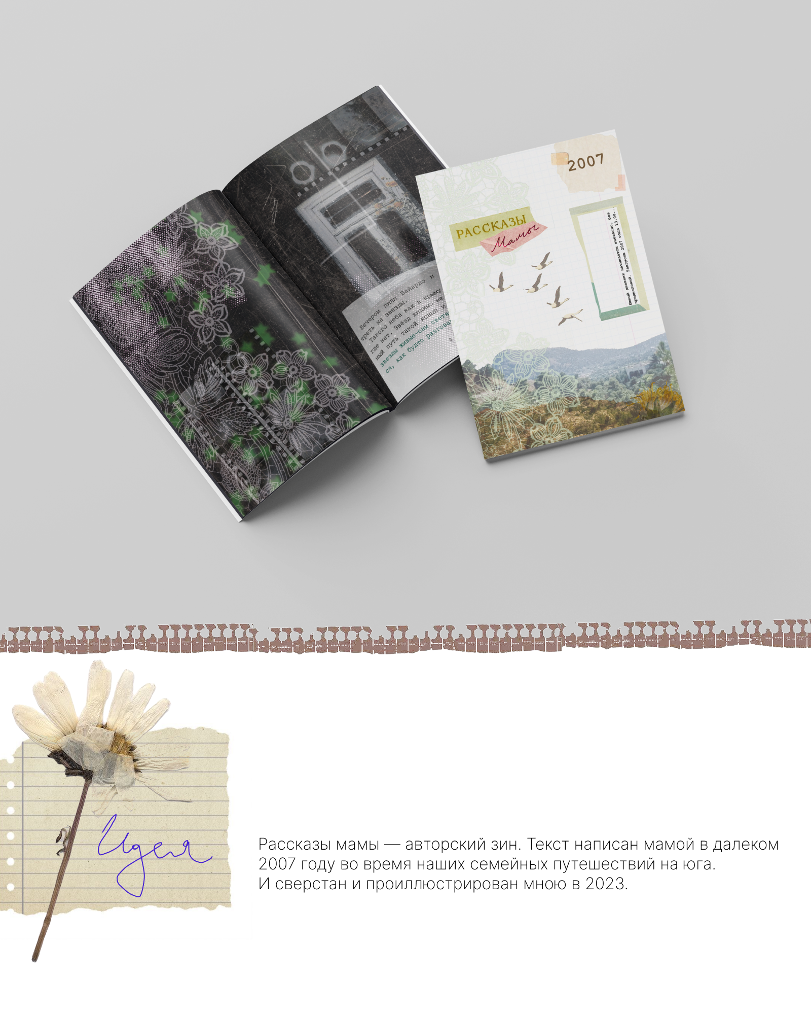 Зин | Верстка и иллюстрирование — Изображение №1 — Иллюстрация, Графика на Dprofile