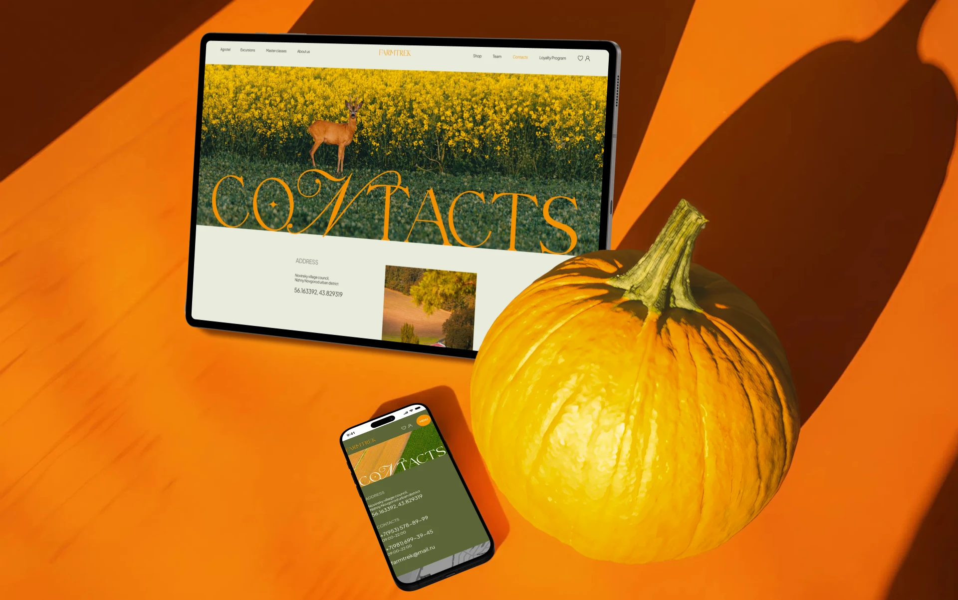Corporate website dedicated to Agritourism — Изображение №9 — Интерфейсы, Брендинг на Dprofile
